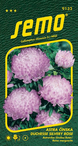 Astra čínská - Duchesse silvery rose 0,5g