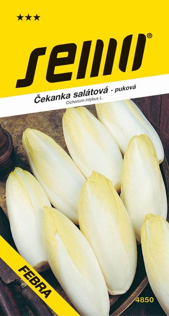 Čekanka k rychlení - Mechelse Middelvroeg puková 0,6g Čekanka k rychlení - Mechelse Middelvroeg puková 0,6g