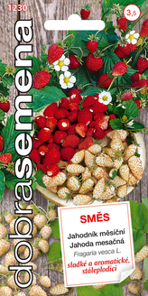 Dobrá semena Jahodník měsíční - směs 0,15g (ZÁRUKA 2024)
