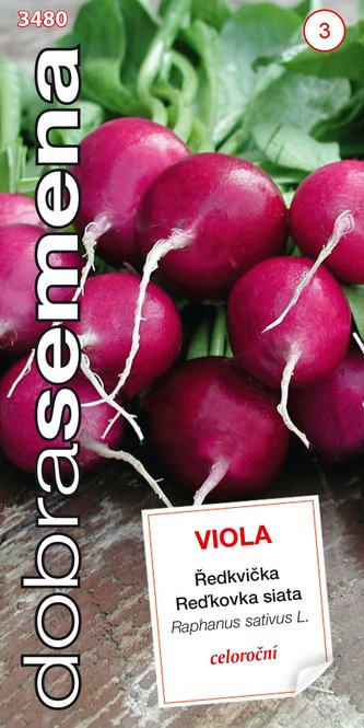 Dobrá semena Ředkvička fialová - Viola celoroční 4g Dobrá semena Ředkvička fialová - Viola celoroční 4g