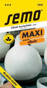 Cibule jarní - Southport white globe bílá 1g - série MAXI