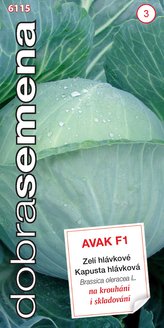 Dobrá semena Zelí kruhárenské - Avak F1 30s