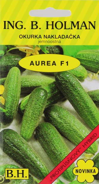 Okurka nakl. Holman - Aurea F1 hu 2,5 g Okurka nakl. Holman - Aurea F1 hu 2,5 g