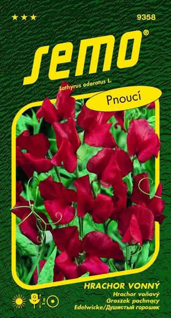 Hrachor vonný - Mammoth Scarlet 2g