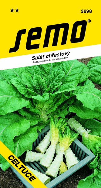 Salát chřestový - Celtuce 0,4g