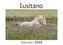 Lusitano (Wandkalender 2024, Kalender DIN A4 quer, Monatskalender im Querformat mit Kalendarium, Das perfekte Geschenk)