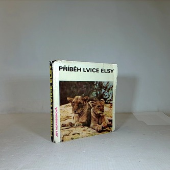 Příběh lvice Elsy