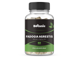Botanic Fadogia agrestis 60kap.