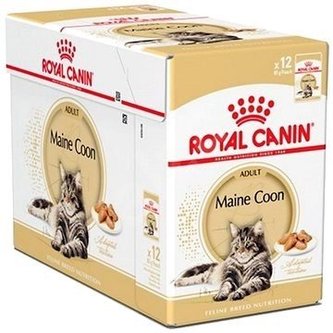 Royal Canin Maine Coon gravy ve šťávě 12x85g