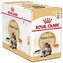 Royal Canin Maine Coon gravy ve šťávě 12x85g