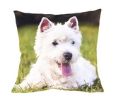 Fotonávlek, Bílý pejsek, 40 x 40 cm