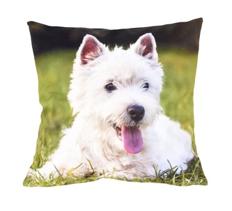 Fotonávlek, Bílý pejsek, 40 x 40 cm Fotonávlek, Bílý pejsek, 40 x 40 cm