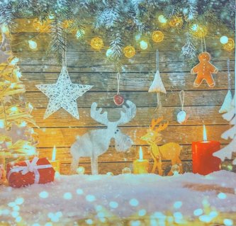 Fotopolštář, Sobi a světýlka, 40 x 40 cm samostatný návlek Fotopolštář, Sobi a světýlka, 40 x 40 cm samostatný návlek