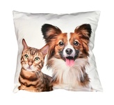 Fotonávlek, Kočička a pejsek, 40 x 40 cm