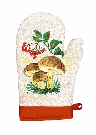 Chňapka kuchyňská, Houby, teracota