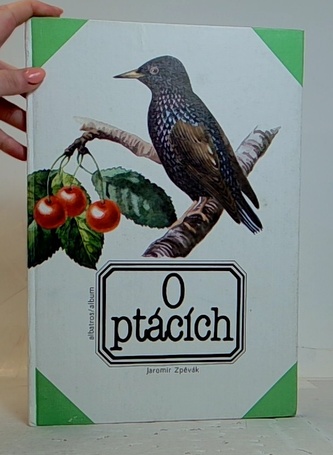 O ptácích