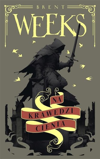 Na krawędzi cienia. Nocny Anioł. Tom 2