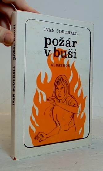 požár v buši