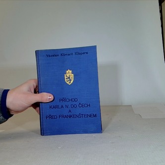 Příchod Karla IV. do Čech a před Františkem