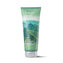 Bottega Verde Divoký cedr Sprchový šampon, 200ml