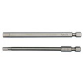 Sada bitů 1/4" 2 ks IMBUS L=100 mm 4, 6 mm