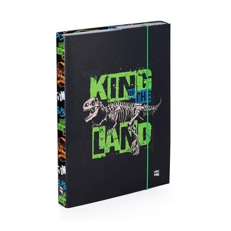 Oxy Box na sešity A4 - Premium Dinosaurus