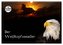 Der Weißkopfseeadler (Wandkalender 2024 DIN A3 quer), CALVENDO Monatskalender