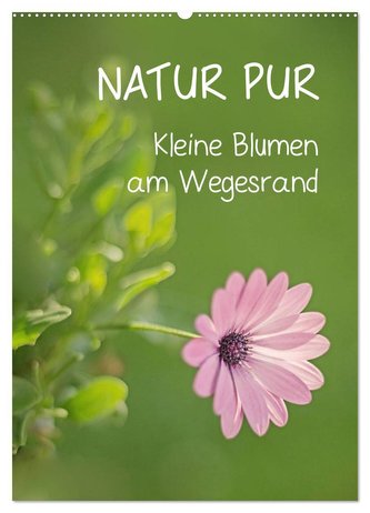 NATUR PUR Kleine Blumen am Wegesrand (Wandkalender 2024 DIN A2 hoch), CALVENDO Monatskalender