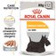 Kapsička Royal Canin CCN Wet Dermacomfort 12x85g (BAL.)