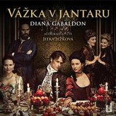Vážka v jantaru - 3 CDmp3 (Čte Jitka Ježková)