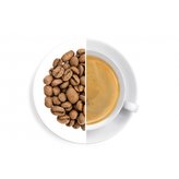 Oxalis Kostarika Palmichal Black Honey 60 g - káva