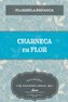 Charneca em flor
