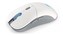 Endorfy myš GEM Plus Wireless OWH PAW3395 / Khail GM 8.0 / bezdrátová / bílá