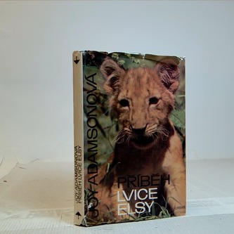 Příběh lvice Elsy