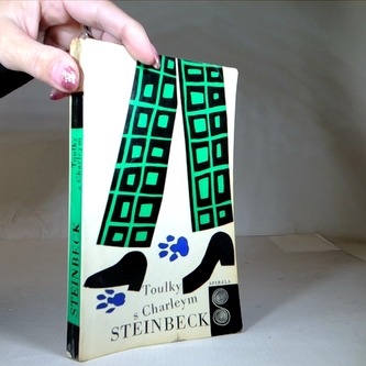 Toulky s Charliem za poznáním Ameriky