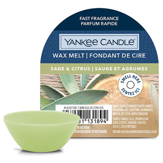 Vonný vosk Yankee Candle, Šalvěj a citrus, 22 g Vonný vosk Yankee Candle, Šalvěj a citrus, 22 g