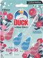 Duck Active Clean First Kiss Flowers WC blok, 38,6 g
