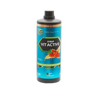 Z Konzept Vit Active Syrup Low Carb 1000 ml papaya (papája)