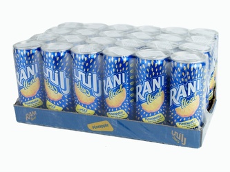 Džus Rani Ananas 240 ml - karton 24 ks