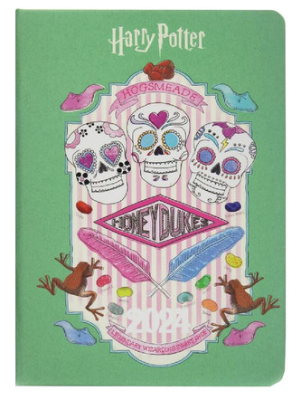 Diář 2024 Harry Potter: Fashion (A6 16 x 17,5 x 1,5 cm)