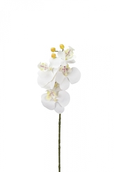 Umělá orchidej bílá 68 cm