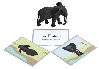 BETZOLD Divoká zvířátka dětská slovní hra