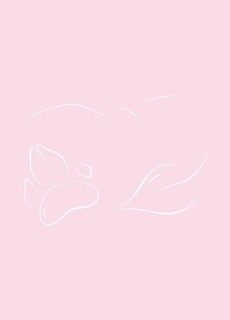 Meditační deníček