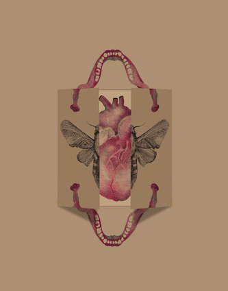 Robert Gabris. This Space Is Too Small For Our Bodies