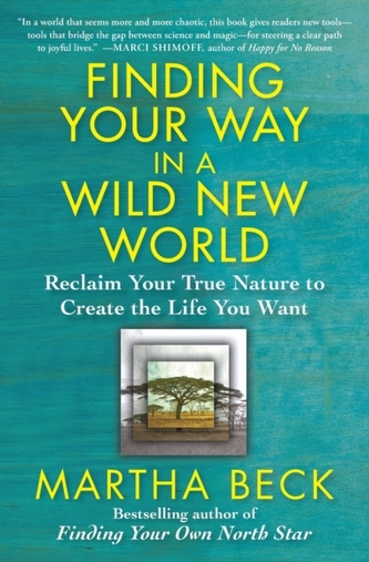 Finding Your Way in a Wild New World