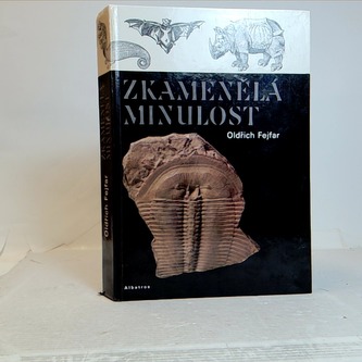 Zkamenělá minulost