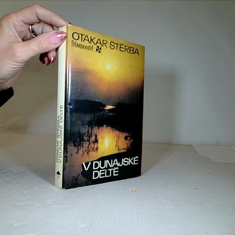 V Dubajské Deltě