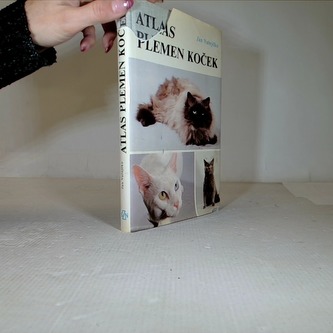Atlas plemen koček