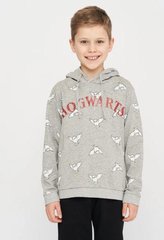 MIKINA HARRY POTTER - velikost 10