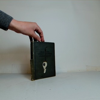 Osudy dobrého vojáka Švejka za světové války I.